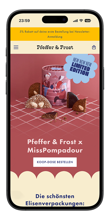 Custom Shopify store development and theme customization showcase